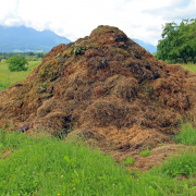 Komposthaufen bei der "Documenta" in Kassel